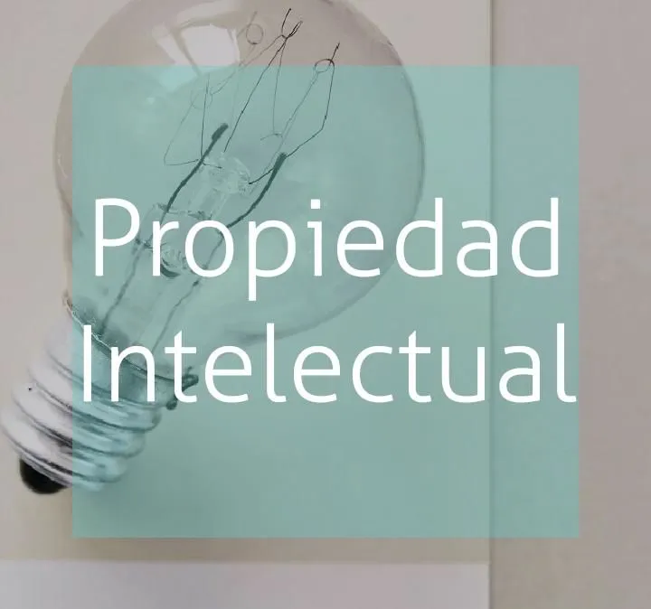 La imagen 4 de la Empresa IDEA IMPULSA