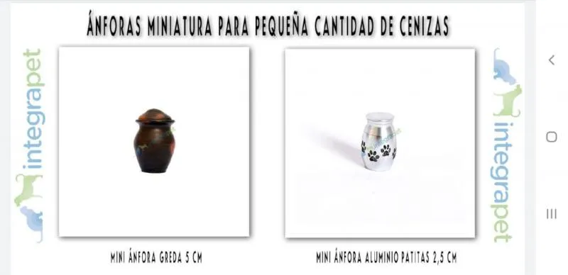La imagen 6 de la Empresa INTEGRAPET