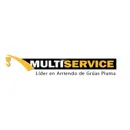 GRÚAS MULTISERVICE FL LTDA. Tonelaje en San Bernardo RM