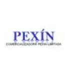 COMERCIALIZADORA PEXIN LTDA Reteniendo Parede en Quinta Normal RM