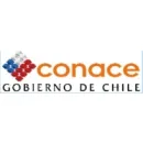 CONSEJO NACIONAL PARA EL CONTROL DE ESTUPEFACIENTES - SUCURSAL BUIN Tratamiento de Drogas en Buin RM