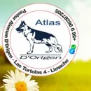 ATLAS PASTOR ALEMAN DE ORIGEN VITAMINAS PARA ANIMALES en Limache VS