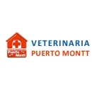 CLINICA VETERINARIA PUERTO MONTT Veterinaria en Puerto Montt LL