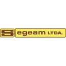 SEGEAM LTDA Servicios de Aseo Industrial en Ñuñoa RM