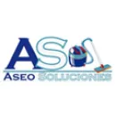 ASEO SOLUCIONES 2.0 - LIMPIEZA DE ALFOMBRAS Servicios A Empresas Y Particulares en Puerto Varas LL
