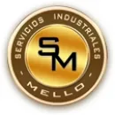 GRUAS Y MAESTRANZAS MELLO Ventas de Grúas en Talcahuano BI