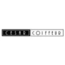 CESAR COIFFEUR Sistema Online en Concepción BI