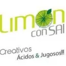 AGENCIA DE PUBLICIDAD LIMÓN CON SAL Volantes en Santiago RM