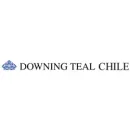 DOWNING TEAL CHILE S A Trabajo en Las Condes RM