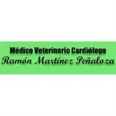 MÉDICO VETERINARIO CARDIÓLOGO VETERINARIOS EQUINOS en Ñuñoa RM