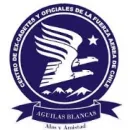 AGUILAS BLANCAS Fuerza Aerea en Santiago RM