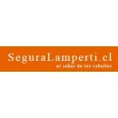 SEGURA LAMPERTI ARTESANÍA Artesanía en La Cisterna RM