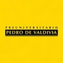 PREUNIVERSITARIO PEDRO DE VALDIVIA - SUCURSAL TEMUCO Universidad en Temuco AR