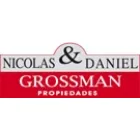 NICOLAS GROSSMAN Y COMPAÑIA LTDA