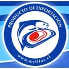 INVERSIONES SANTA CARMEN S A