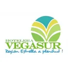 SOCIEDAD HOTELERA VEGA-SUR LIMITADA