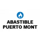 ABASTIBLE PUERTO MONTT