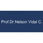 DR. NELSON VIDAL CARVAJAL