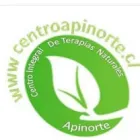 APINORTE.IQUIQUE
