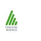 FORESTAL MININCO S A