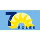 TRANSPORTES Y CONSTRUCCIONES SIETE SOLES S.P.A.