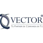 VECTOR SERVICIOS Y ASESORIAS S A