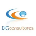 DIG CONSULTORES