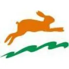 LEPORI CONSULTIN E.I.R.L