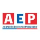 ASIGNACIÓN DE EXCELENCIA PEDAGÓGICA - SUCURSAL CHILLÁN