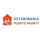 CLINICA VETERINARIA PUERTO MONTT