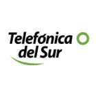 TELEFONICA DEL SUR SUCURSAL CONCEPCIÓN