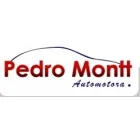 AUTOMOTRIZ PEDRO MONTT