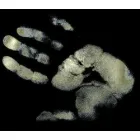 DETECTIVES PRIVADOS EVIDENCE