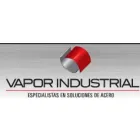 VAPOR INDUSTRIAL S A