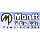 MONTT Y COMPANIA LIMITADA