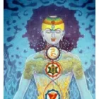 TERAPIAS BIOMAGNETISMO FLORES DE BACH REIKI CAROLINA FREDERICKSEN