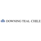 DOWNING TEAL CHILE S A