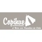 COPIHUE MOTE CON HUESILLOS