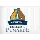 COLEGIO PUMAHUE