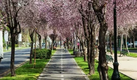 Providencia